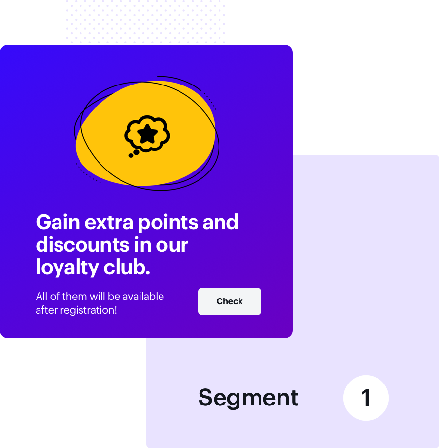 Screenshot presenting ecommerce loyalty segments