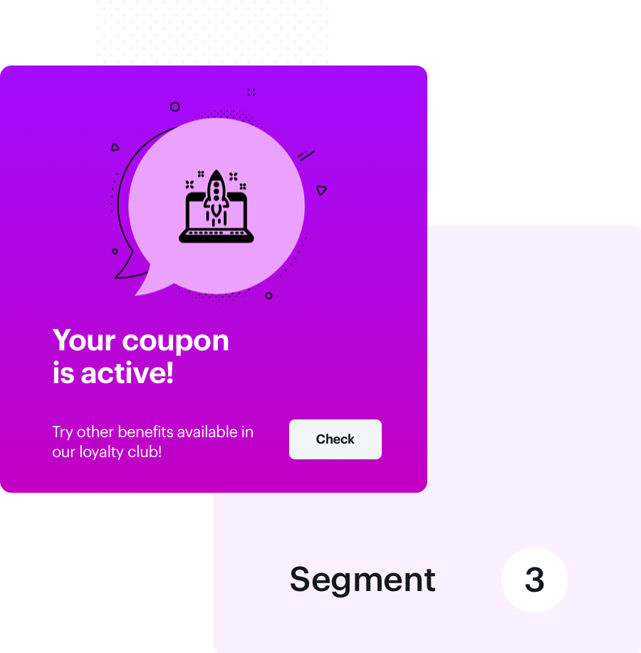 Screenshot presenting ecommerce loyalty segments